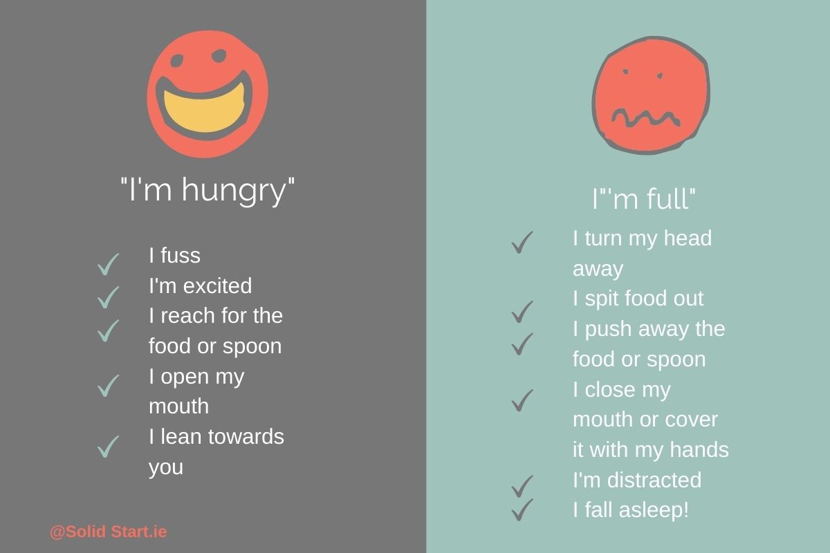 Hunger and fullness cues chart