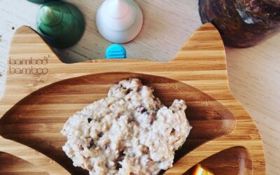 Mince Pie Porridge