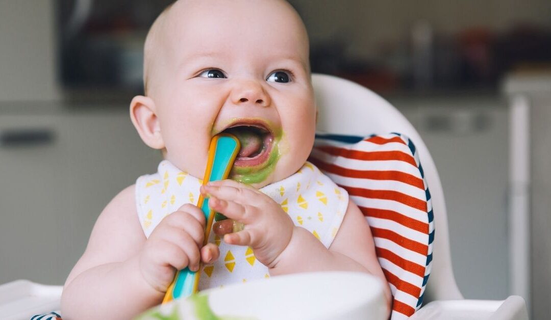 First weaning foods