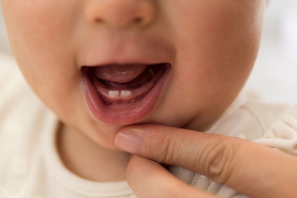 Babies teeth for finger foods