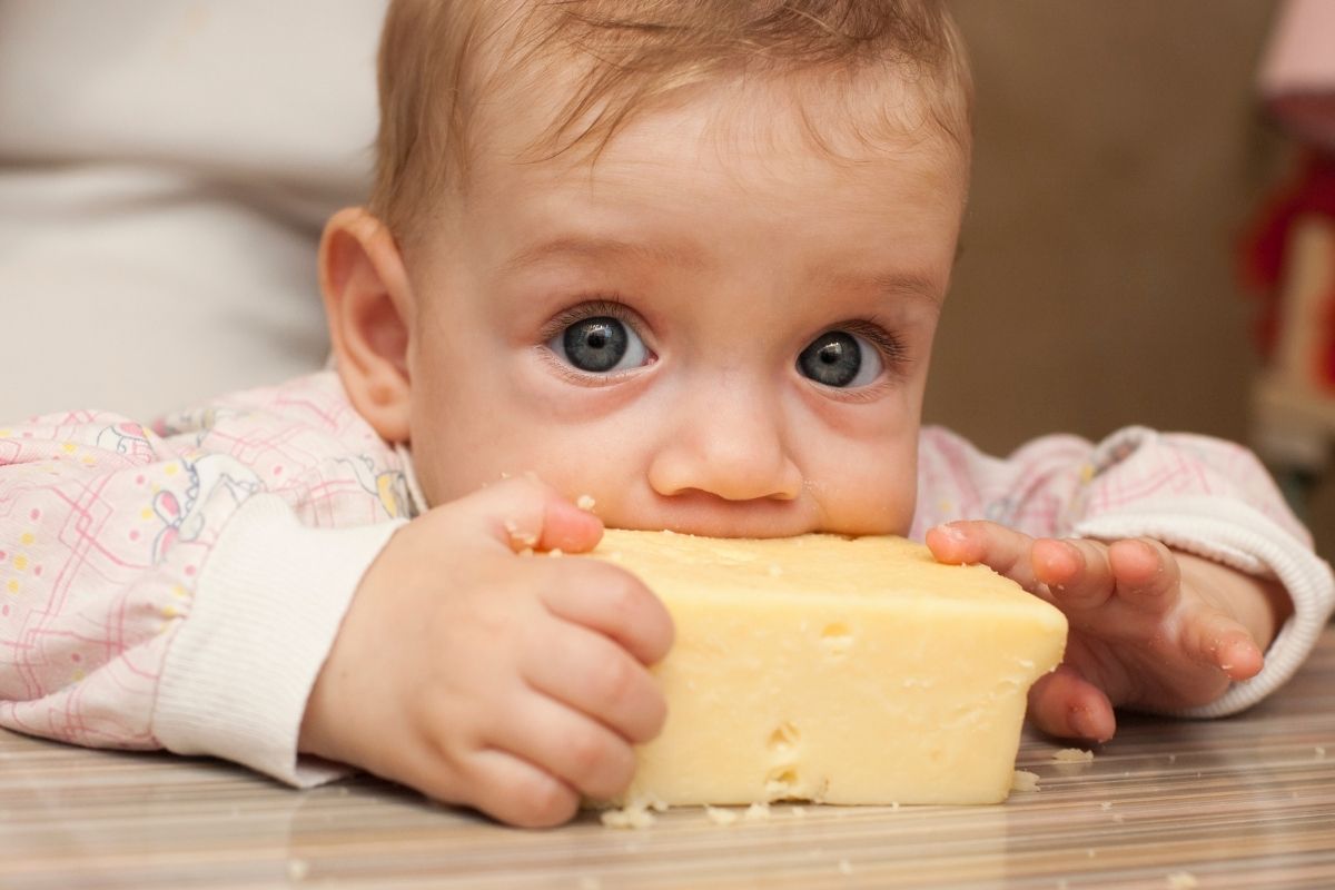 Baby eating cheese (high in salt)