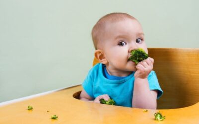 6 Easy Toddler Breakfast Ideas for when you’re short of inspiration