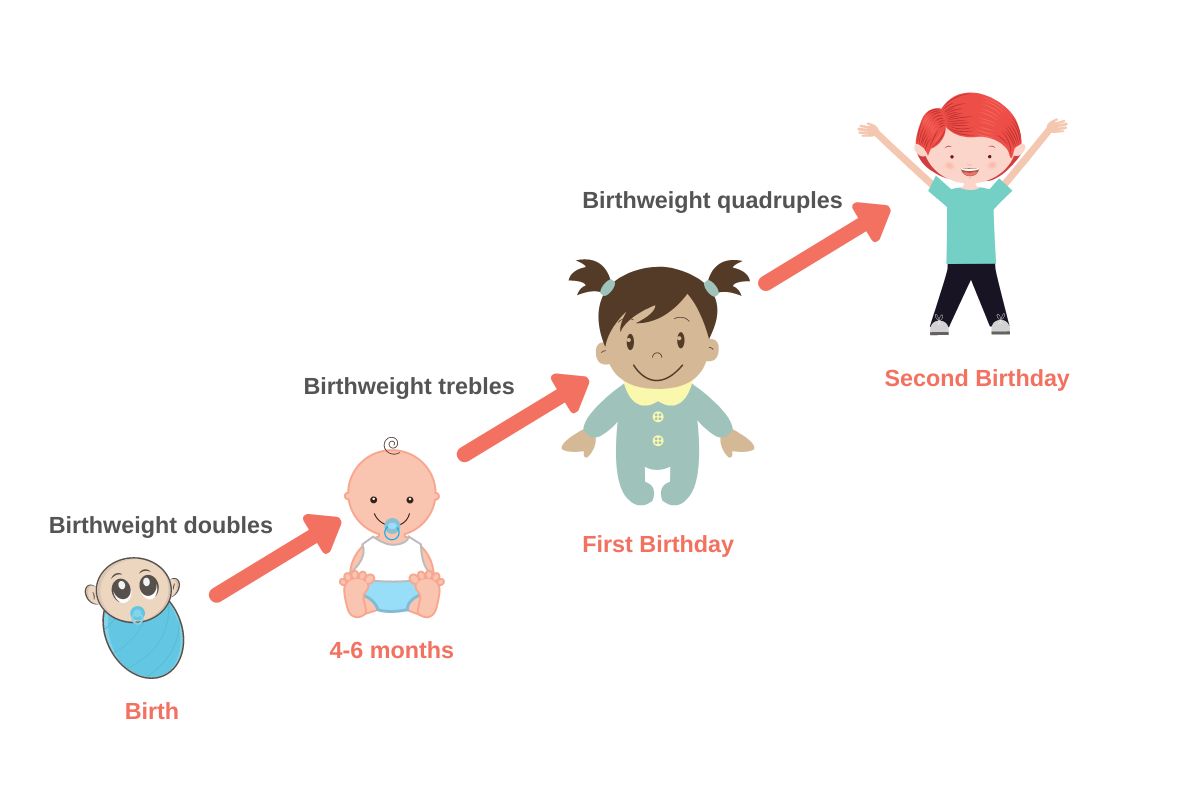 toddlers do not eat well because growth is slower