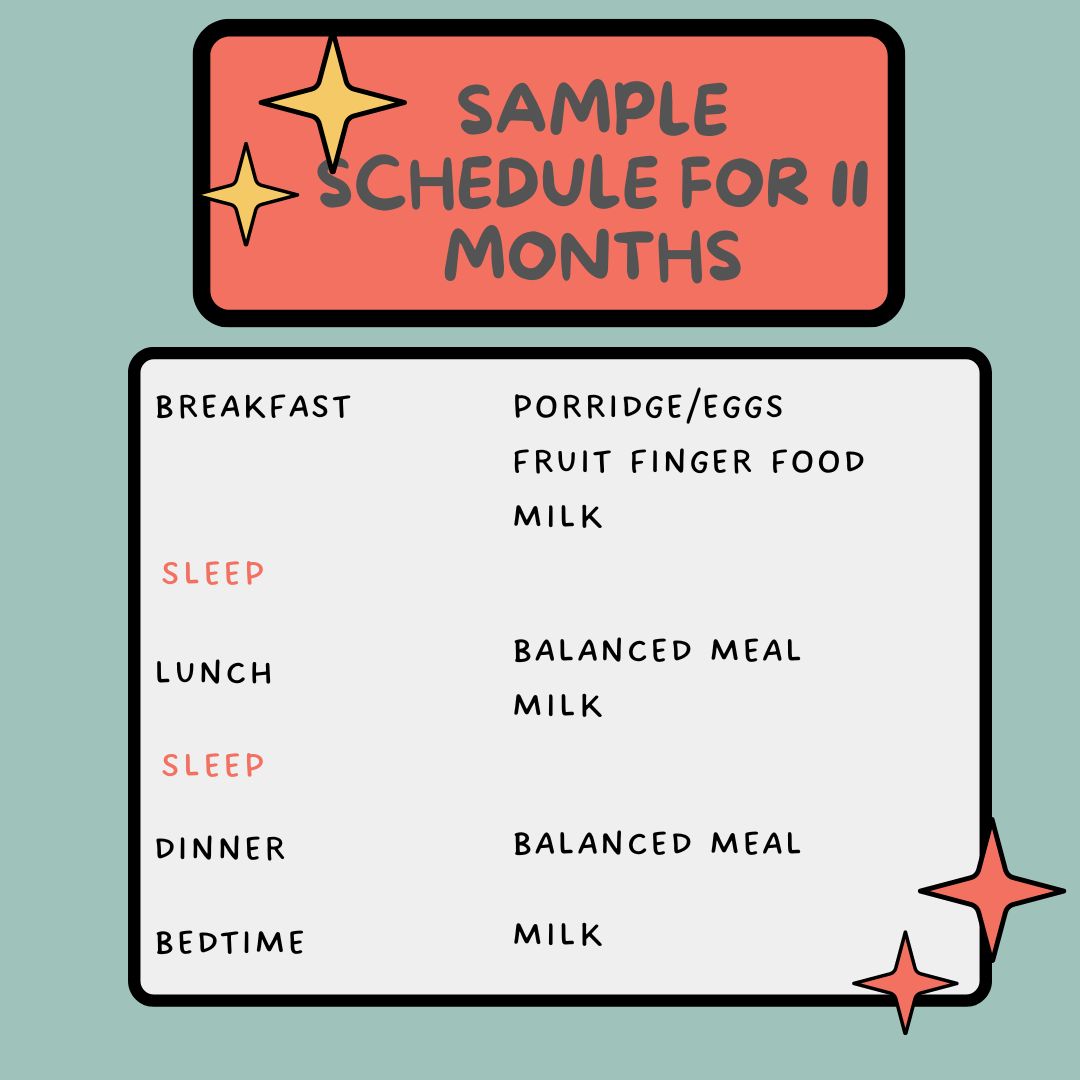Image of a sample feeding schedule for 11 month old