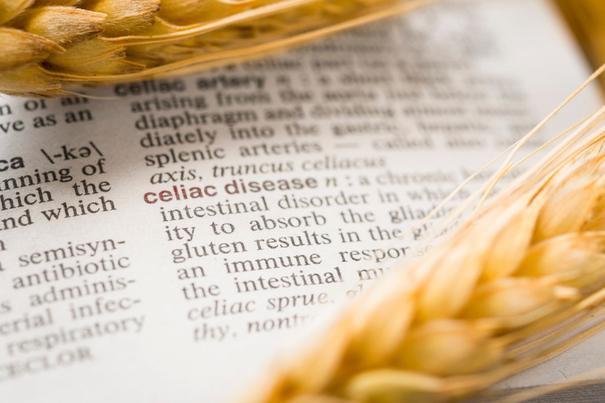 Dictionary explanation of coeliac disease